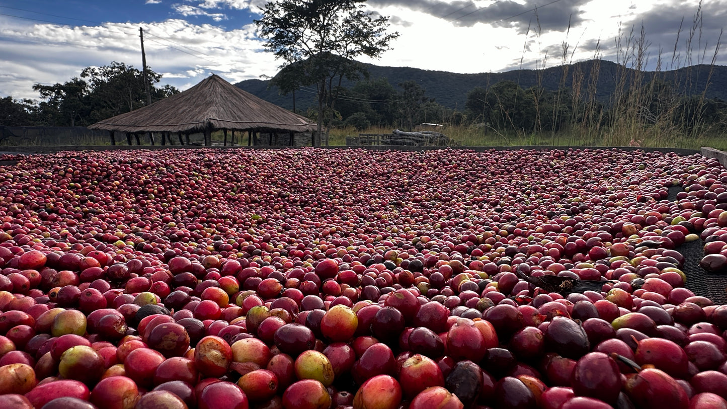 Zambia | Mount Sunzu | Natural