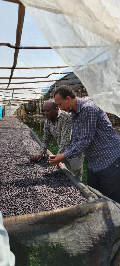 The Autumn Collection | Ethiopia | Anaerobic fermentation | River submerged
