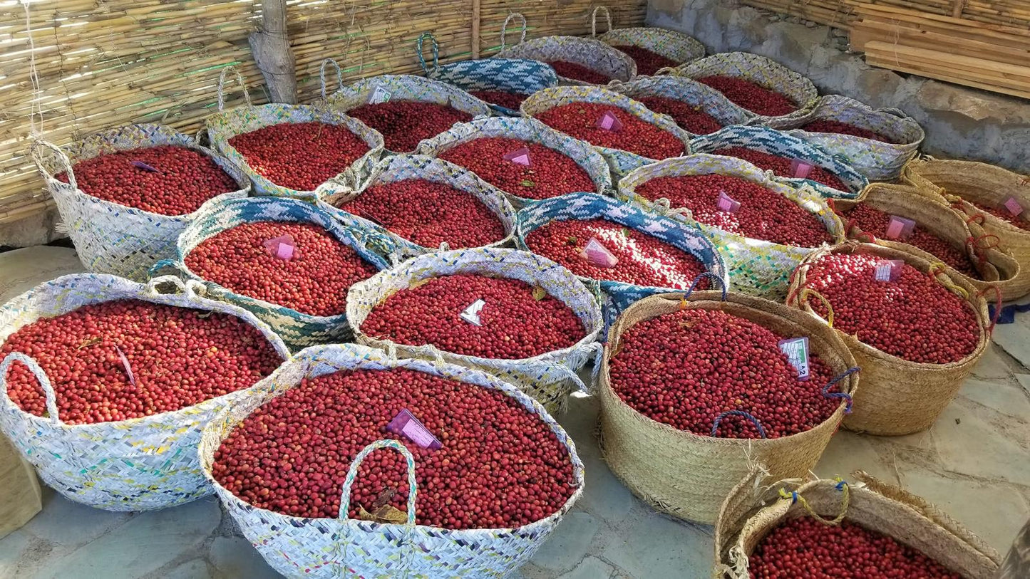 Yemen | Aqeeq Al Yemen | Zahra Bani Murra | Natural | Jaadi