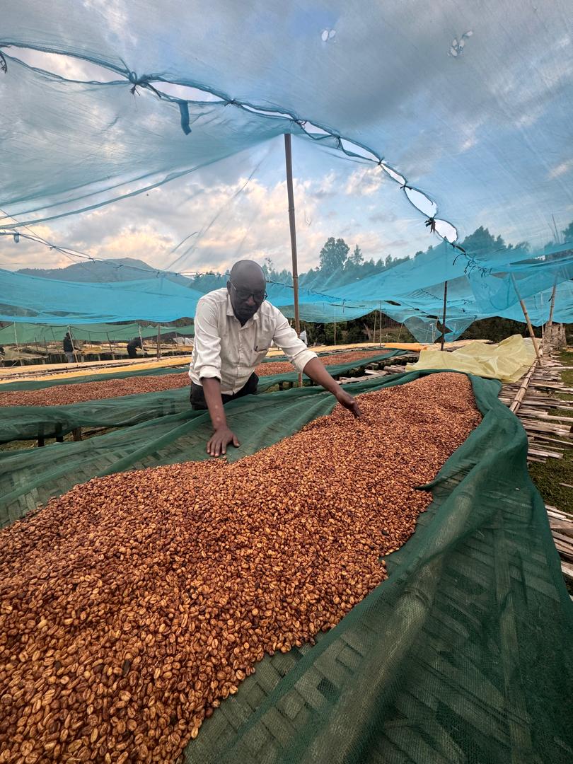 Ethiopia | Mate Mathios | Anaerobic Natural - River submerged | Jarc 74158