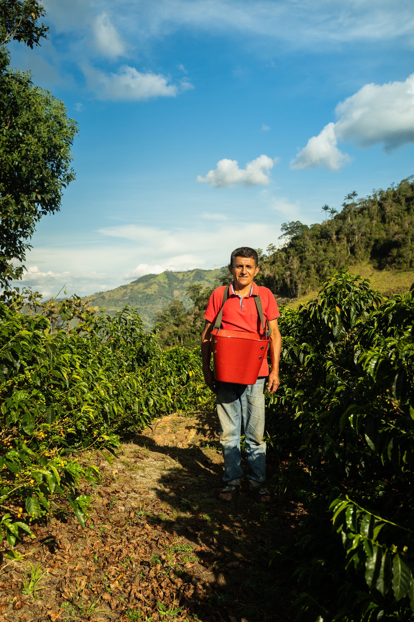 Peru | Modesto Chinguel | Cultured Washed | Bourbon