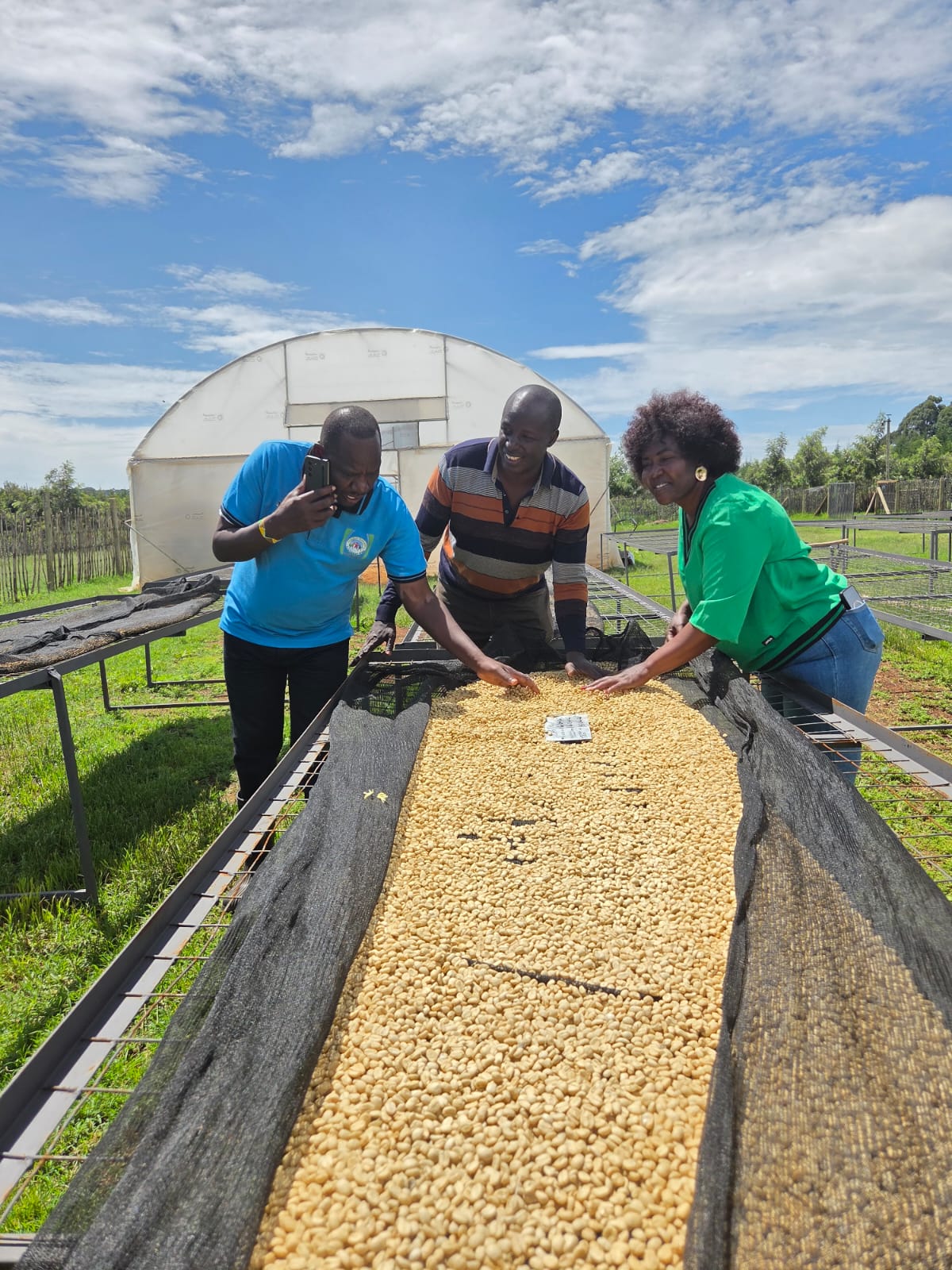 Kenya | The Lab | Lillian’s Farm | Anaerobic