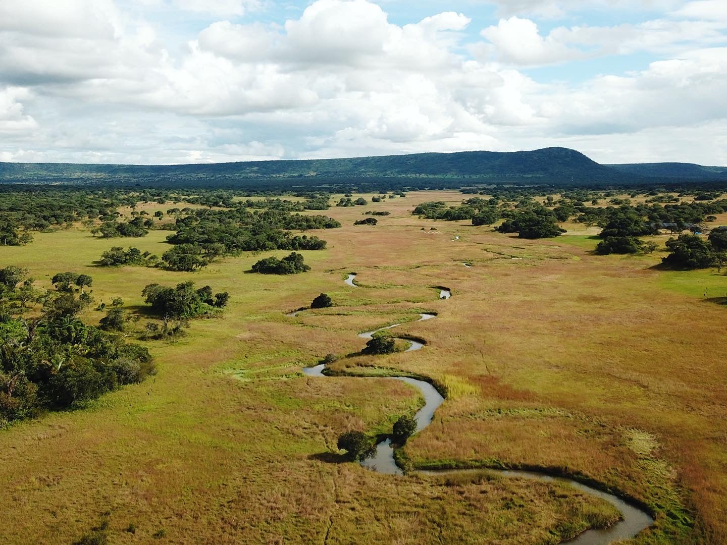Zambia | Mount Sunzu | Natural