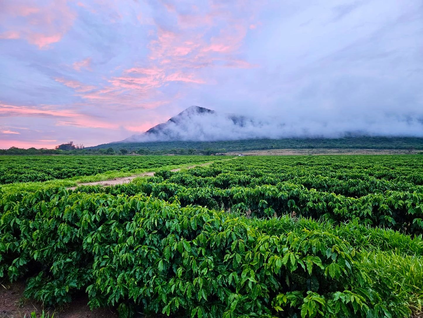 Zambia | Mount Sunzu | Natural