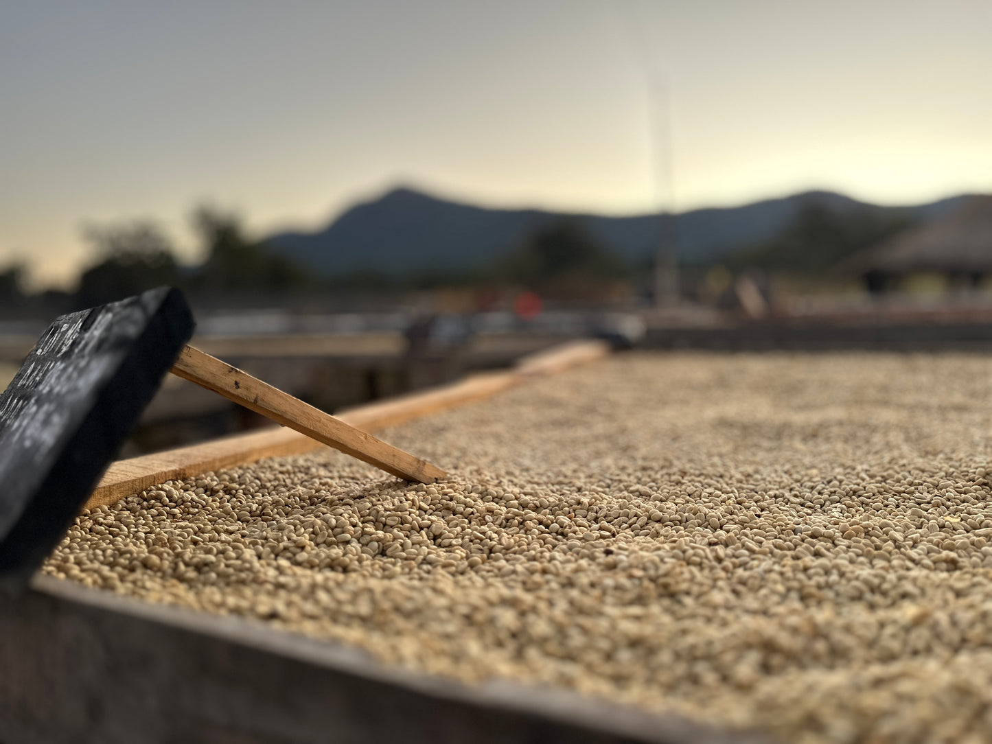 Zambia | Mount Sunzu | Natural