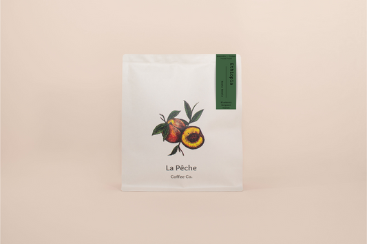 Ethiopia | Basha Bekele | Anaerobic Natural | Jarc 74158