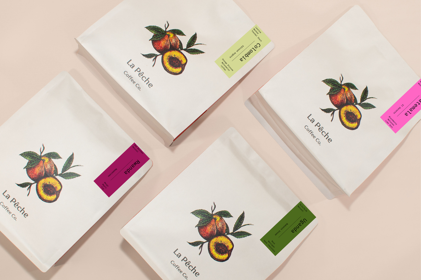 The Winter Collection 26