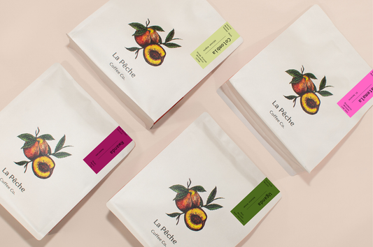 The Winter Collection 26