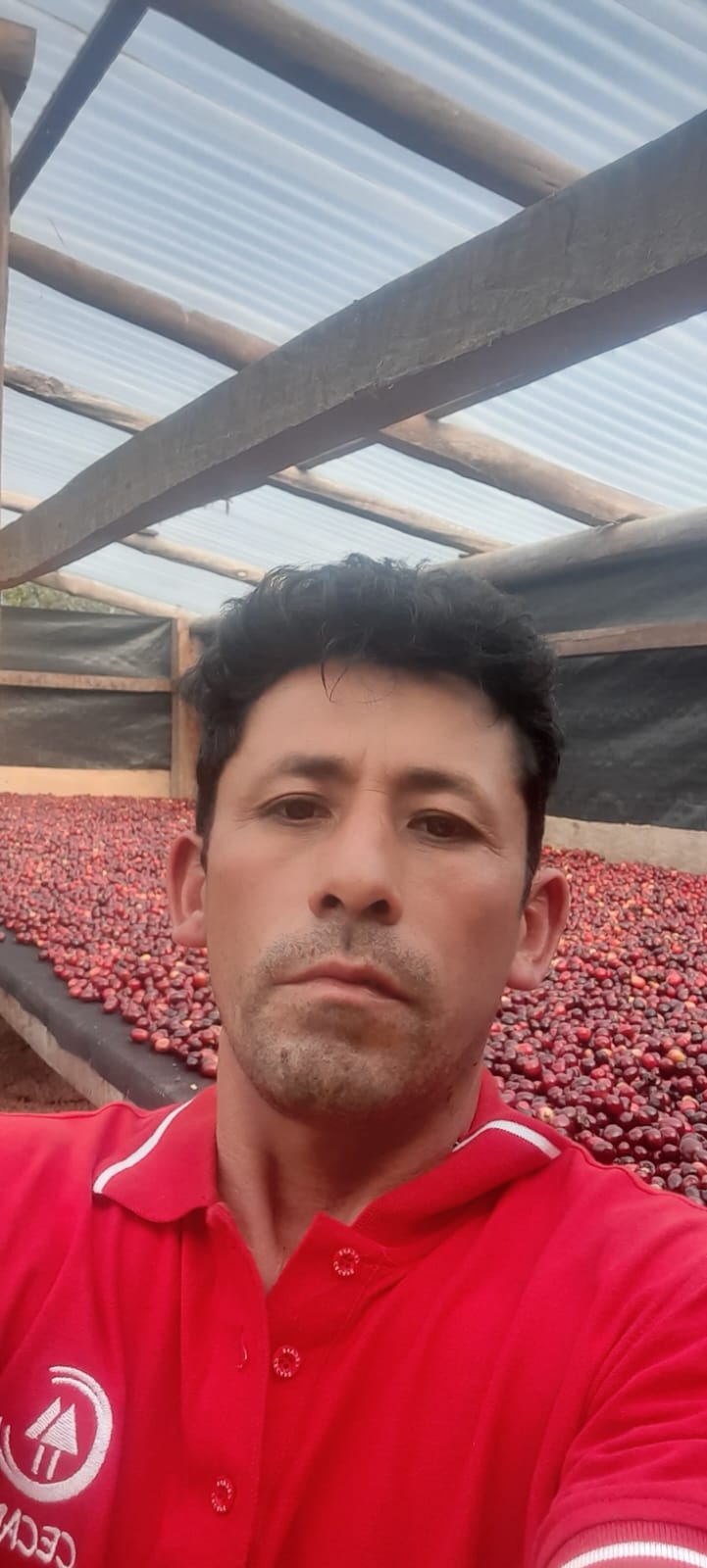 Peru | Demostenes Tantalean | Washed - Geisha