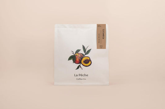 Colombia | Santiago Noriega | Anaerobic Natural | Gesha