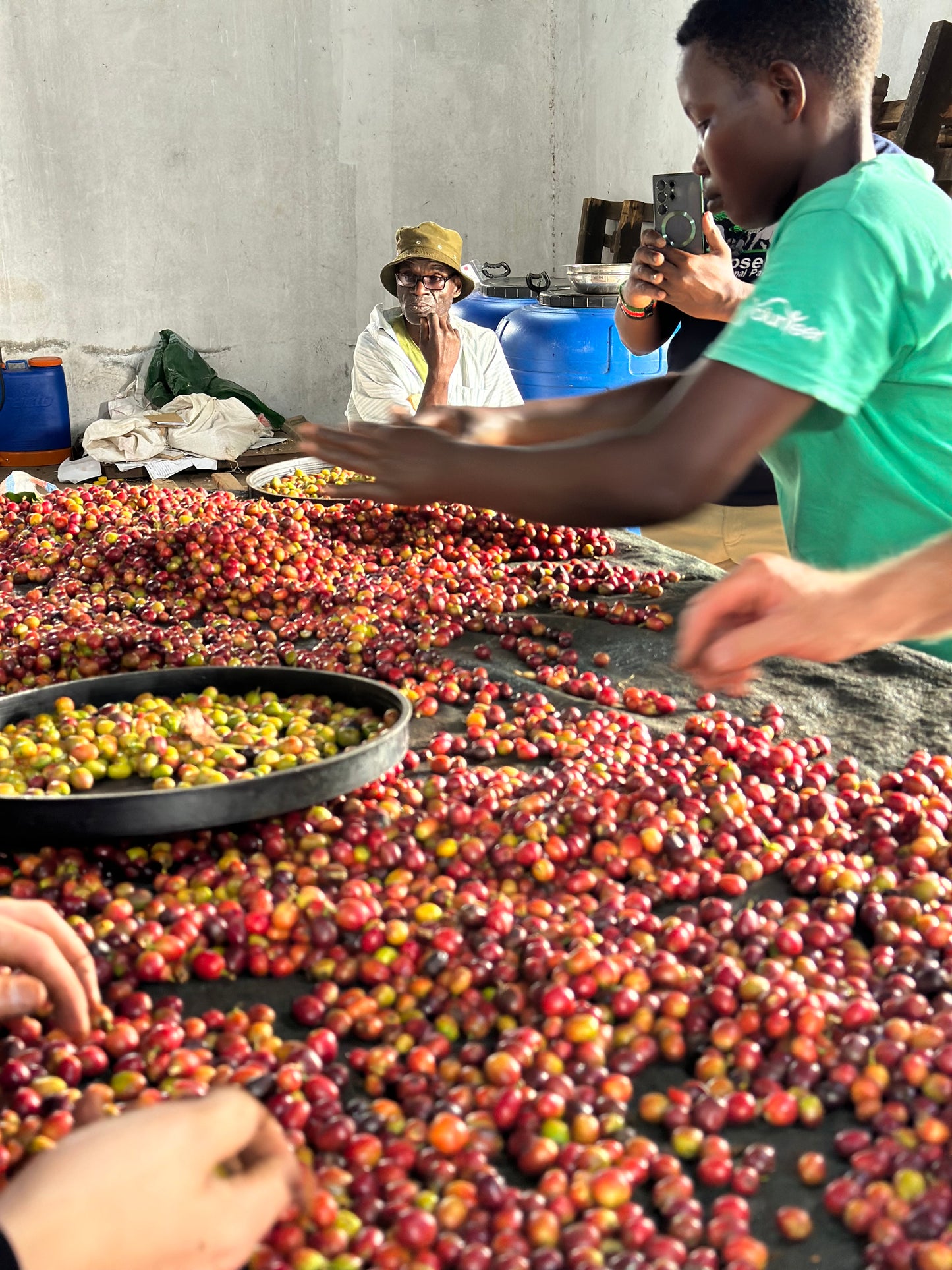 Kenya | Misadhi AB | Fully Washed | Batian