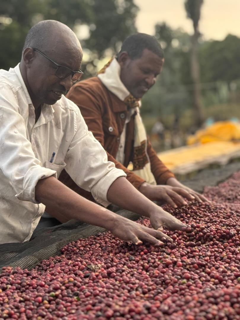 Ethiopia | Mate Mathios  | Anaerobic Natural - River submerged | Jarc 74158