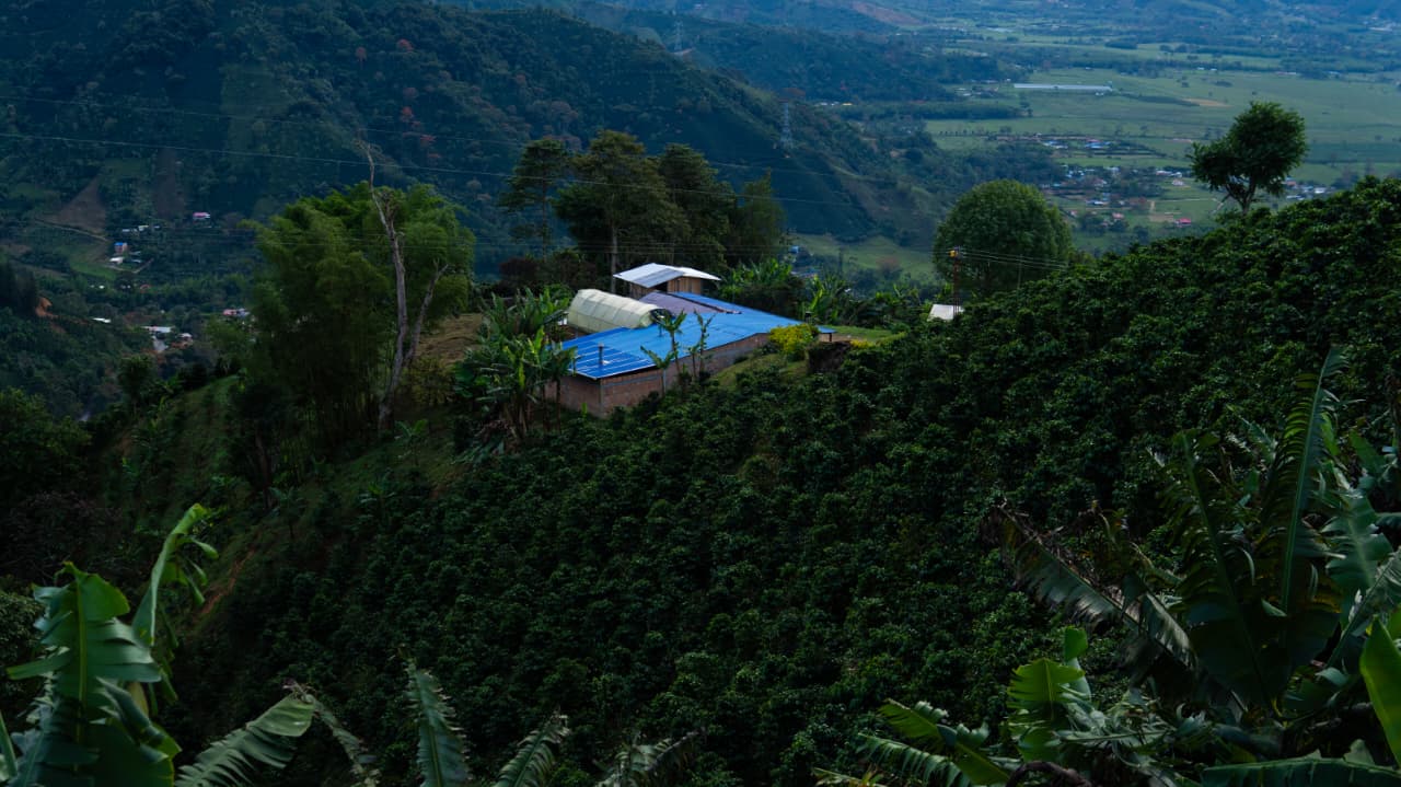 Colombia | Santiago Noriego | Anaerobic Natural | Gesha