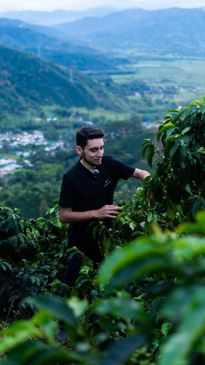 Colombia | Santiago Noriego | Anaerobic Natural | Gesha