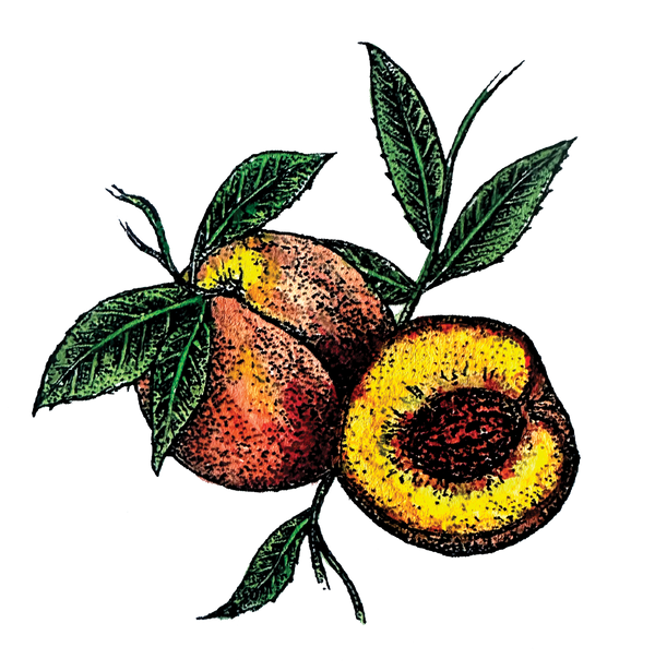 La Pêche Coffee Company