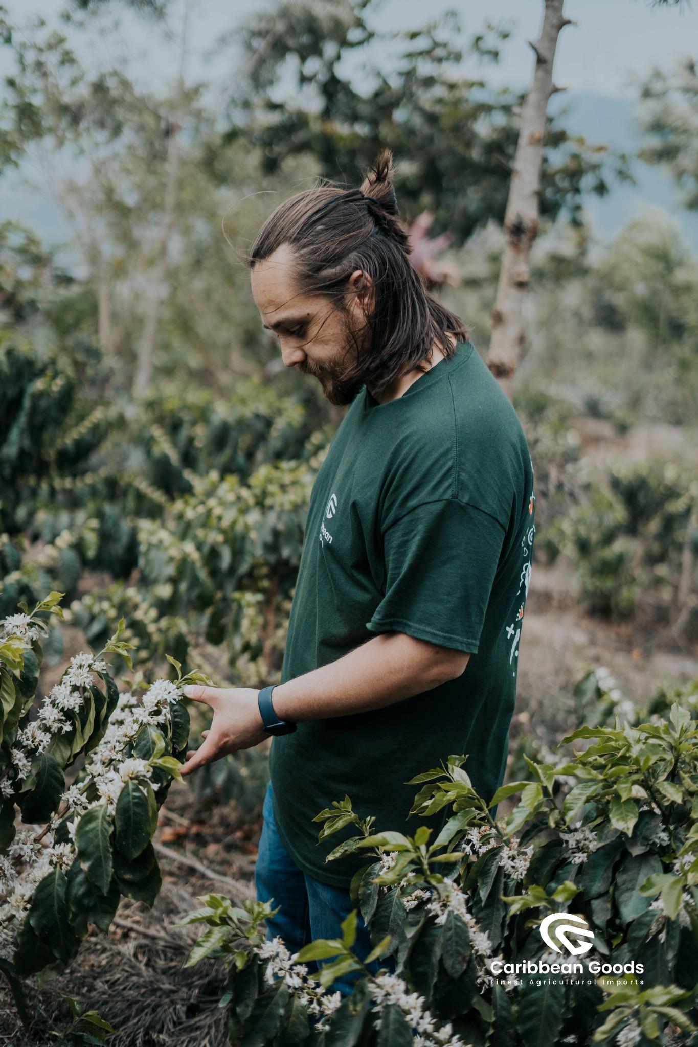 Guatemala | Finca La Concepción | Washed