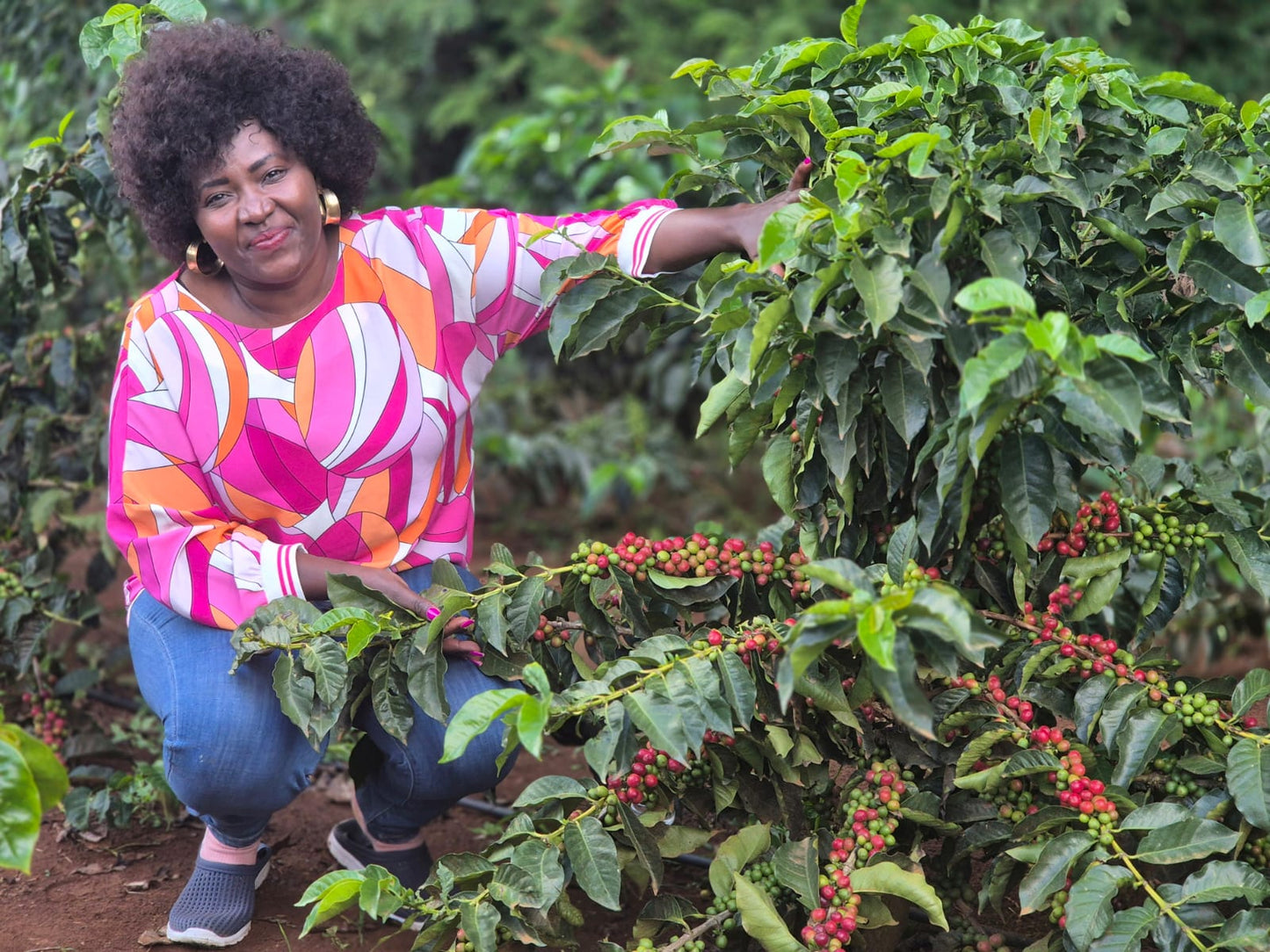 Kenya | The Lab | Lillian’s Farm | Anaerobic