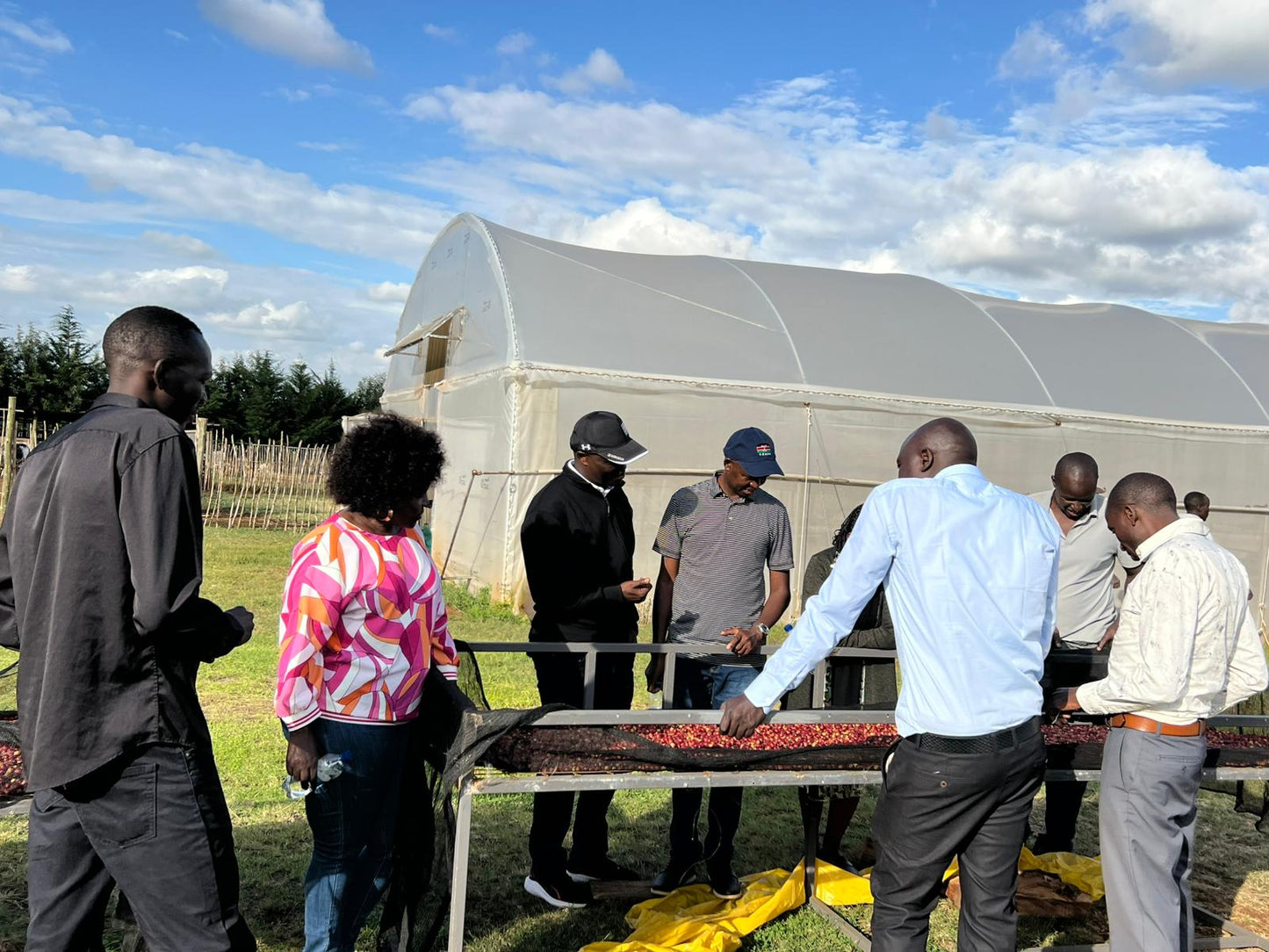 Kenya | The Lab | Lillian’s Farm | Anaerobic