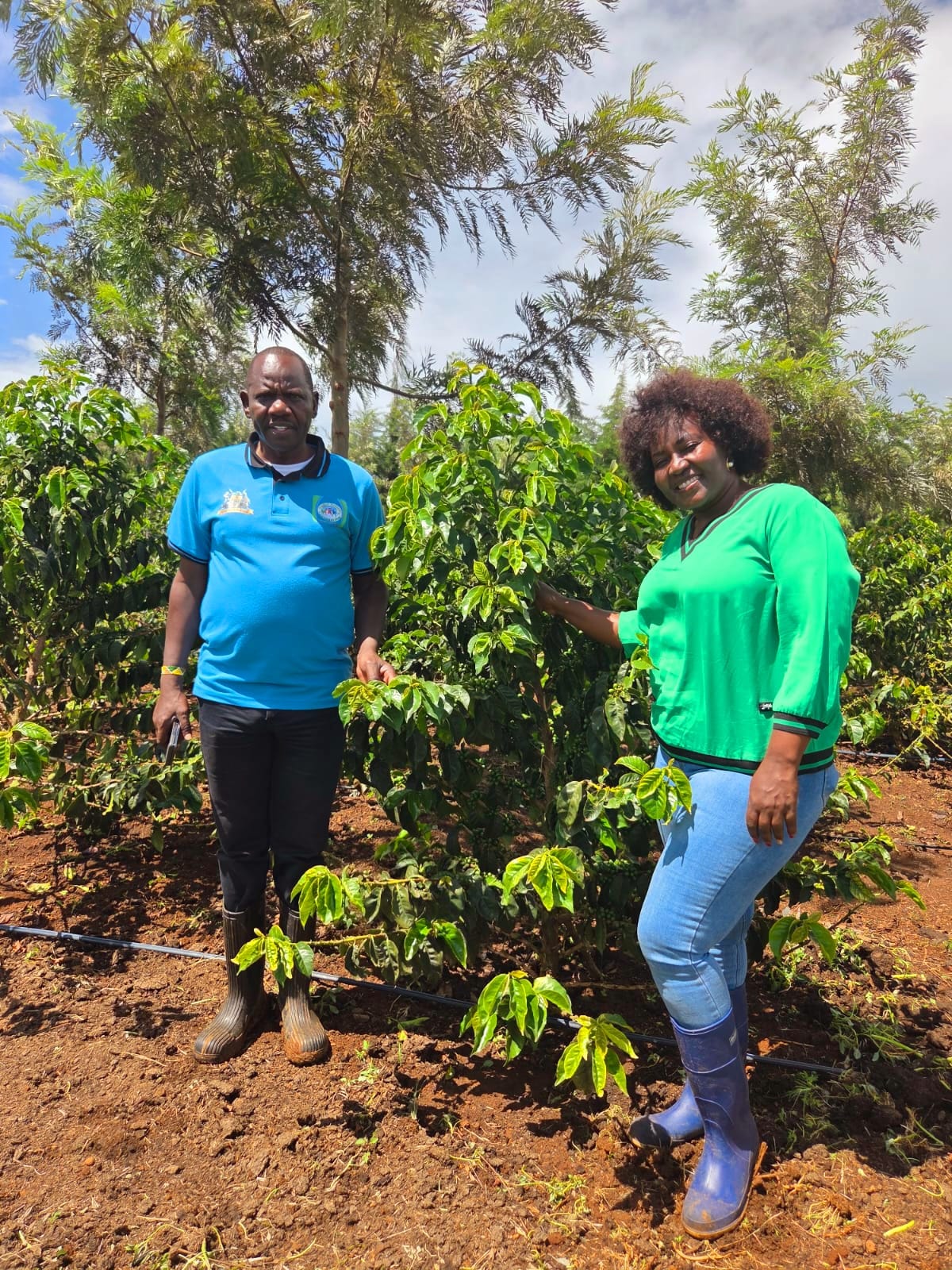 Kenya | The Lab | Lillian’s Farm | Anaerobic