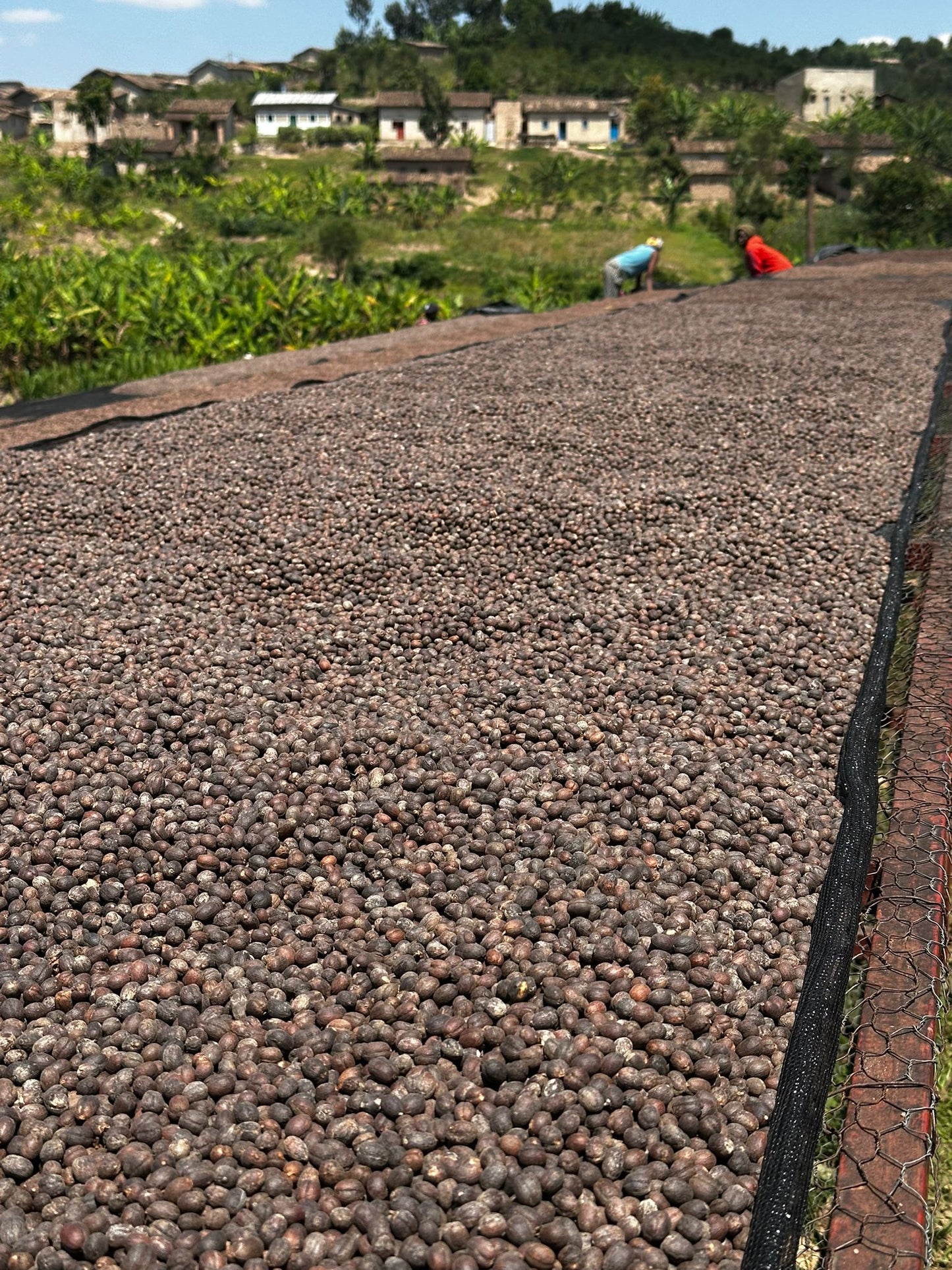 Rwanda | Rwamatamu | Extended Natural