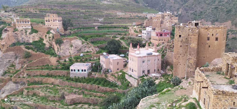 Yemen | Aqeeq Al Yemen | Zahra Bani Murra | Natural | Jaadi