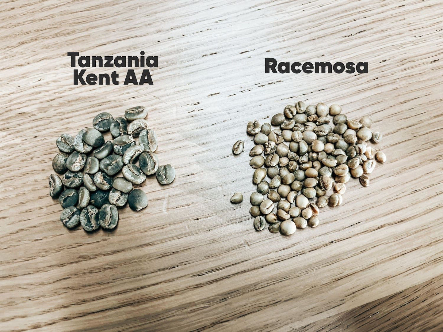 South Africa | Shamba Nathi | Racemosa | Natural